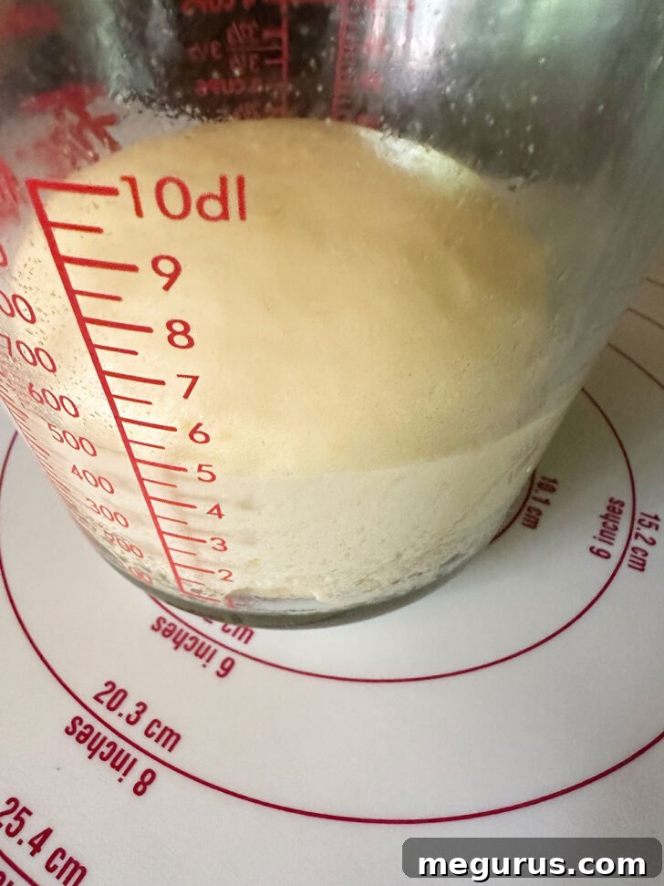 Dough after rising, visibly doubled in size and airy.