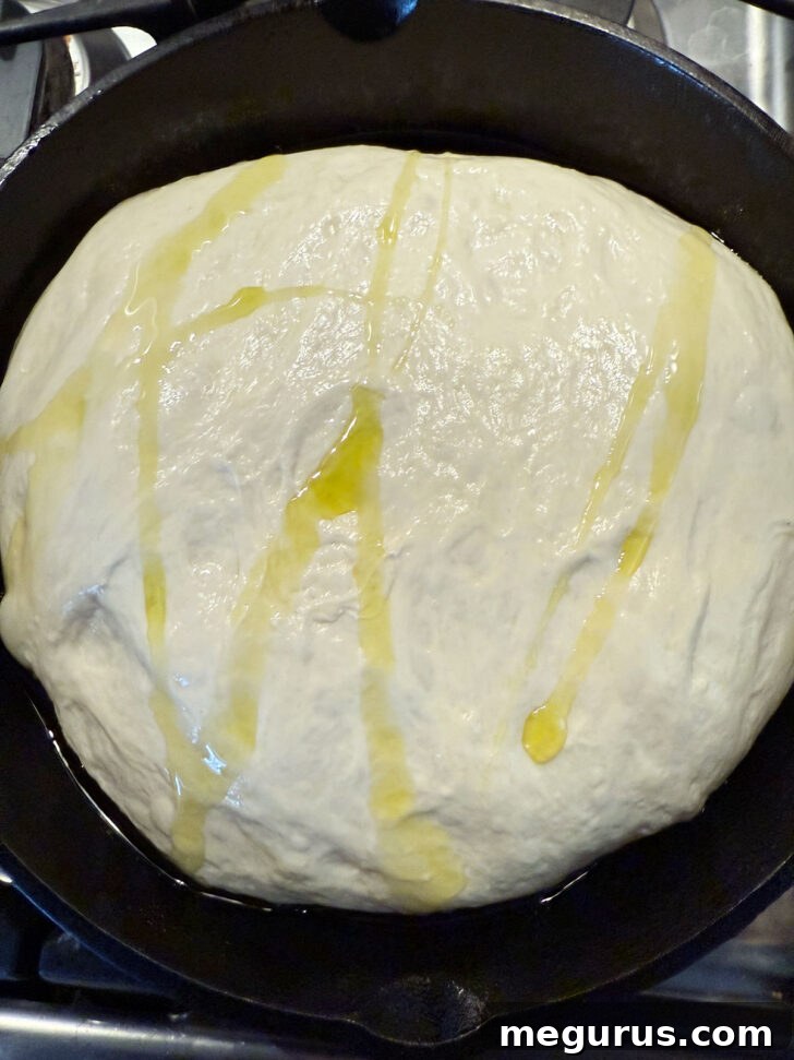 Olive oil drizzled over the surface of the fully risen focaccia dough, ready for dimpling.