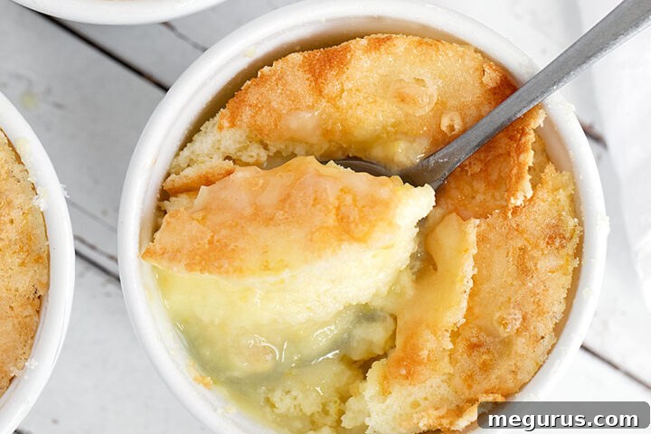 Lemon Pudding Cake Pie in ramekins with a spoon.