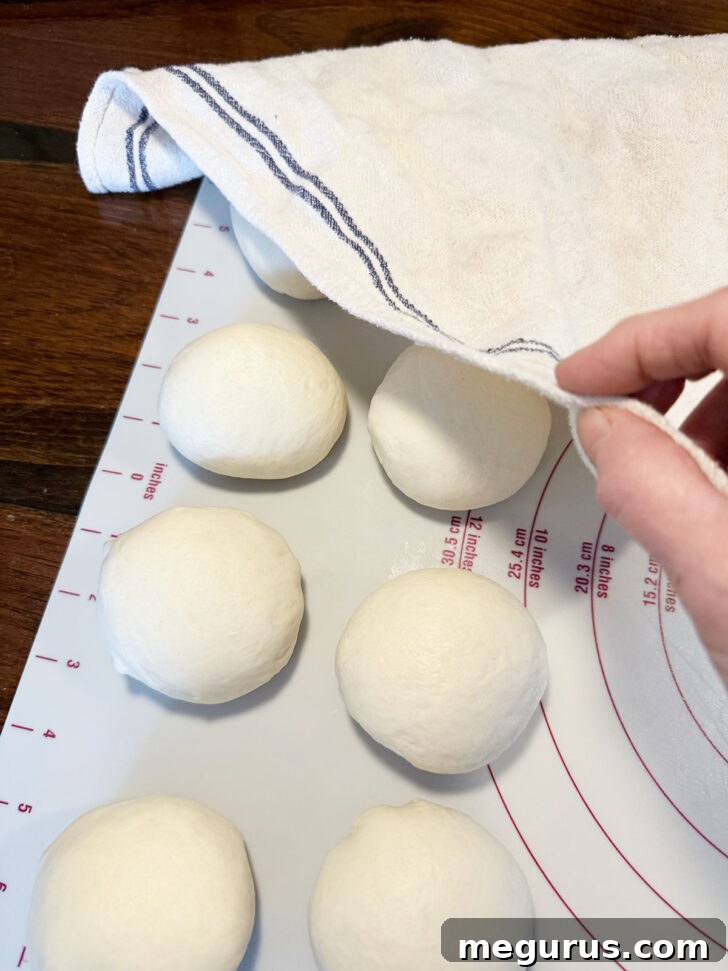 All the dough balls resting under a clean tea towel.