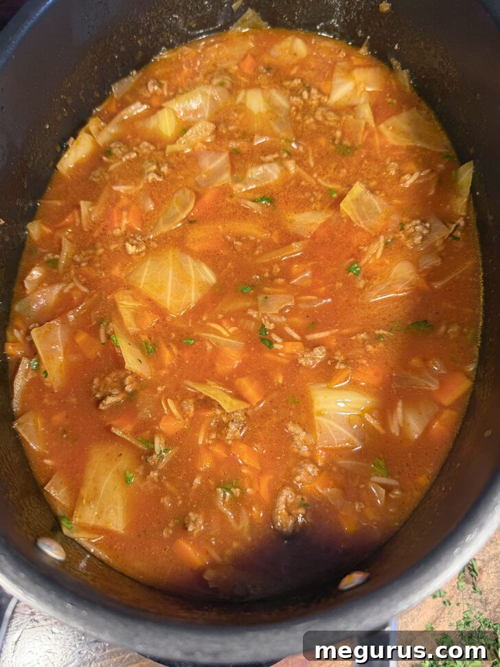 A serving of finished cabbage roll soup in a bowl.