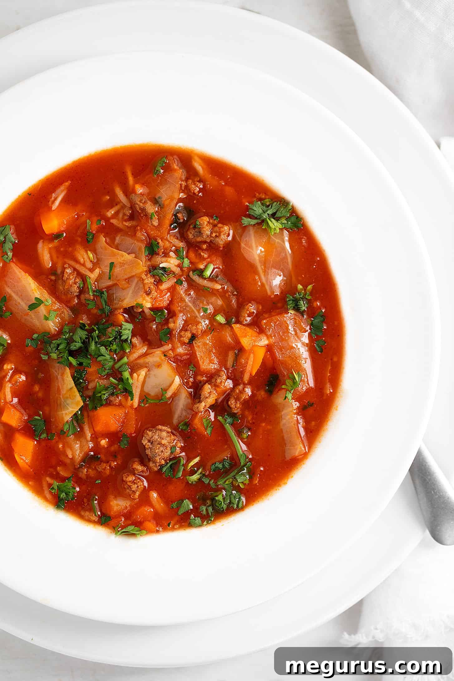 Another enticing view of slow cooker cabbage roll soup in a bowl, showcasing its rich texture and ingredients.