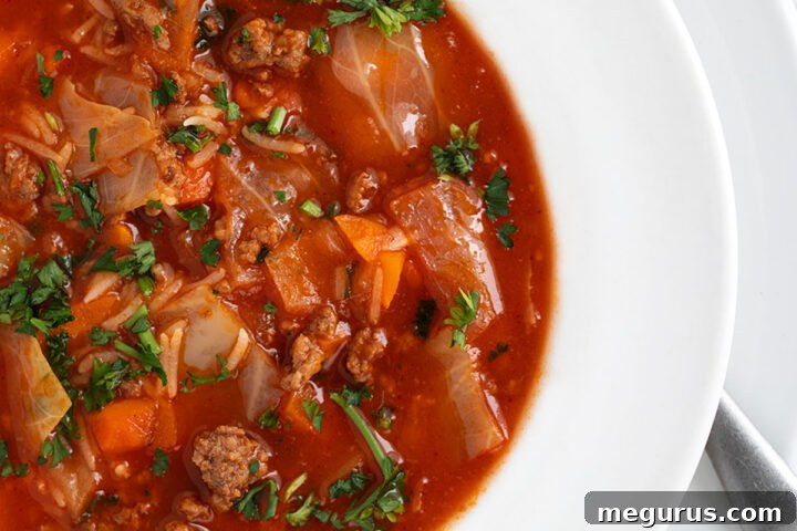 Slow cooker cabbage roll soup in a bowl, ready to be served.