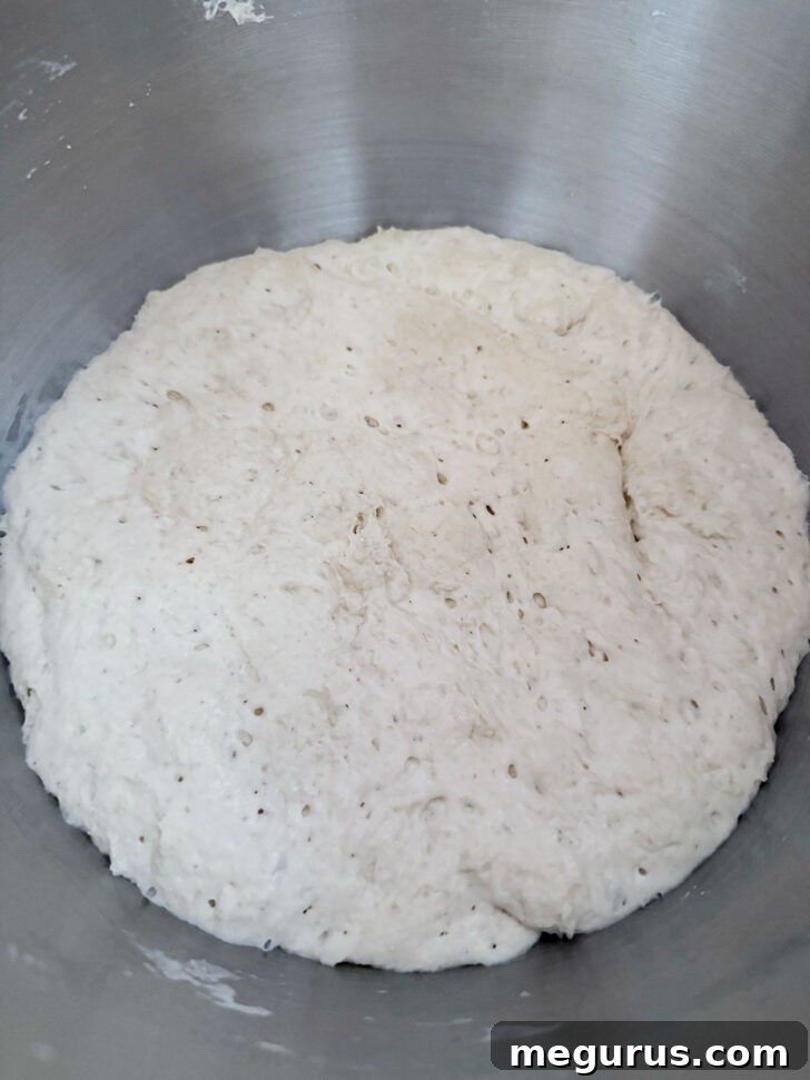 No-knead pizza dough after rising for 18 hours, showing its bubbly texture.