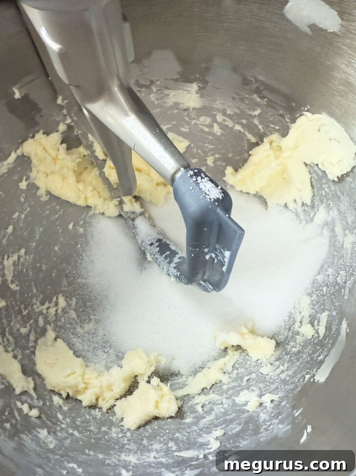 Adding white granulated sugar to the softened butter in the mixing bowl.