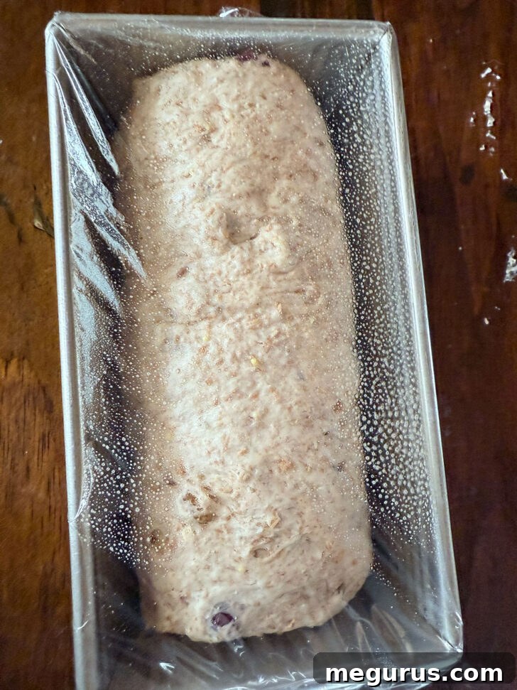 Shaped dough placed in a loaf pan and covered with plastic wrap for the second rise.