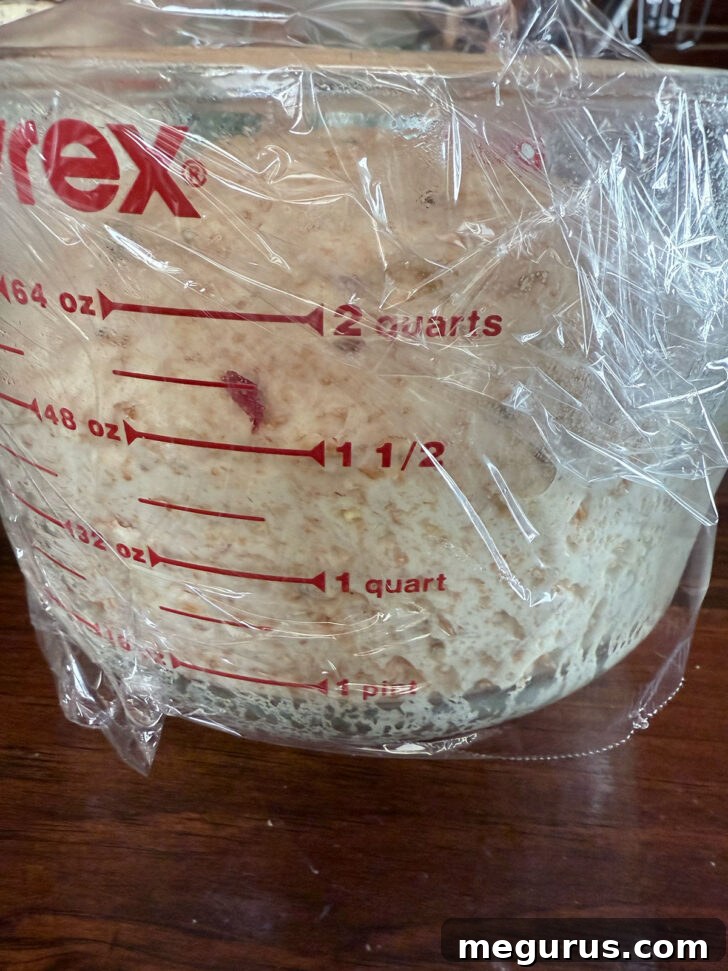 Dough after fully rising, doubled in size and light.