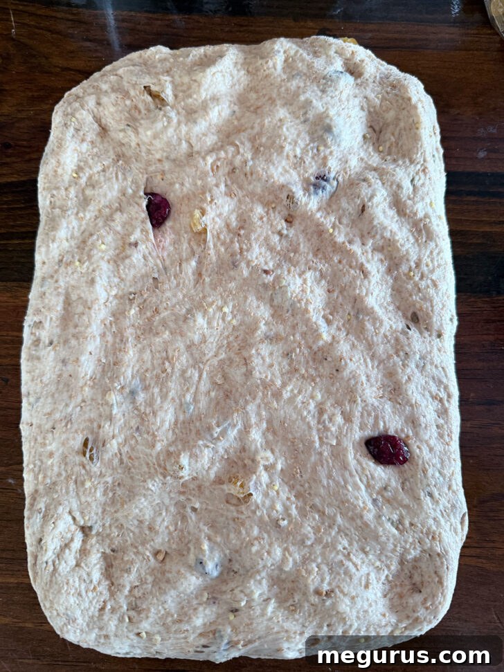 Dough pressed out into a rectangle on a floured surface for shaping.