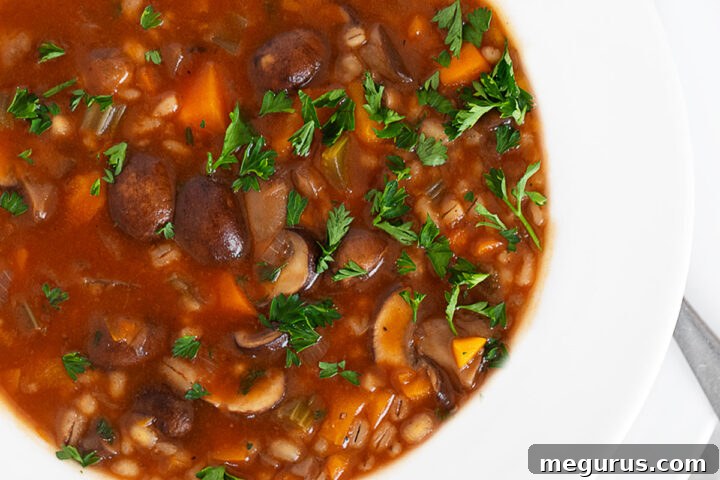 Mushroom barley soup in soup bowl.