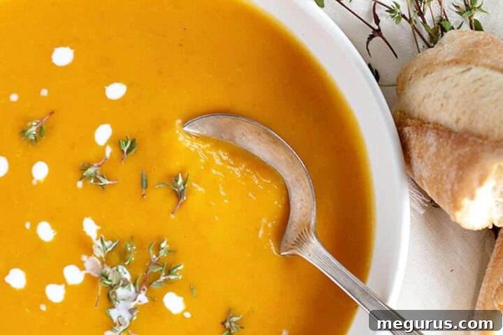 butternut squash soup in white bowl