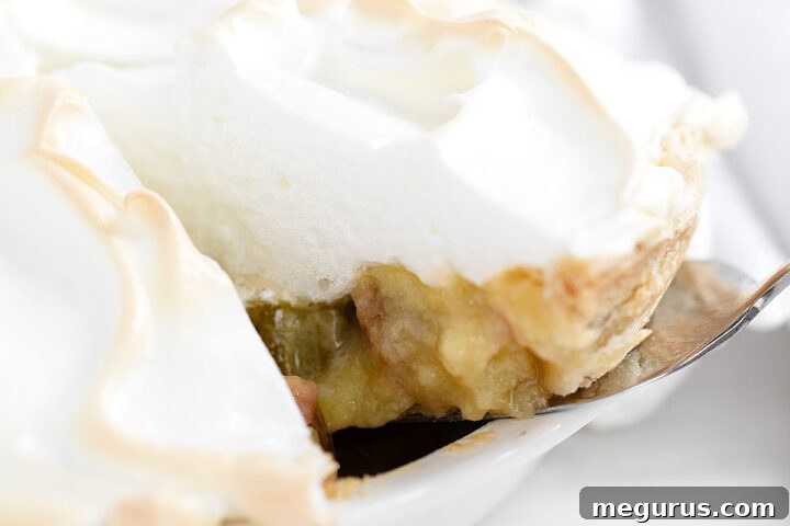 Rhubarb meringue pie sliced in pie dish.