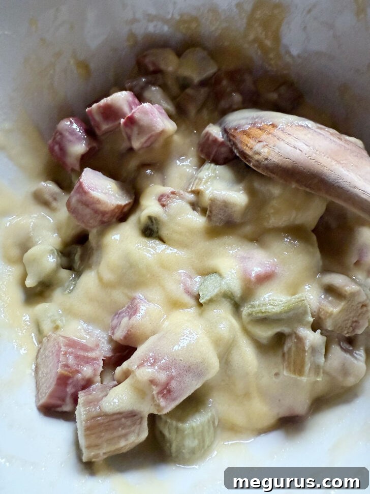 The rhubarb is being gently stirred into the custard mixture, ensuring each piece is coated before baking.