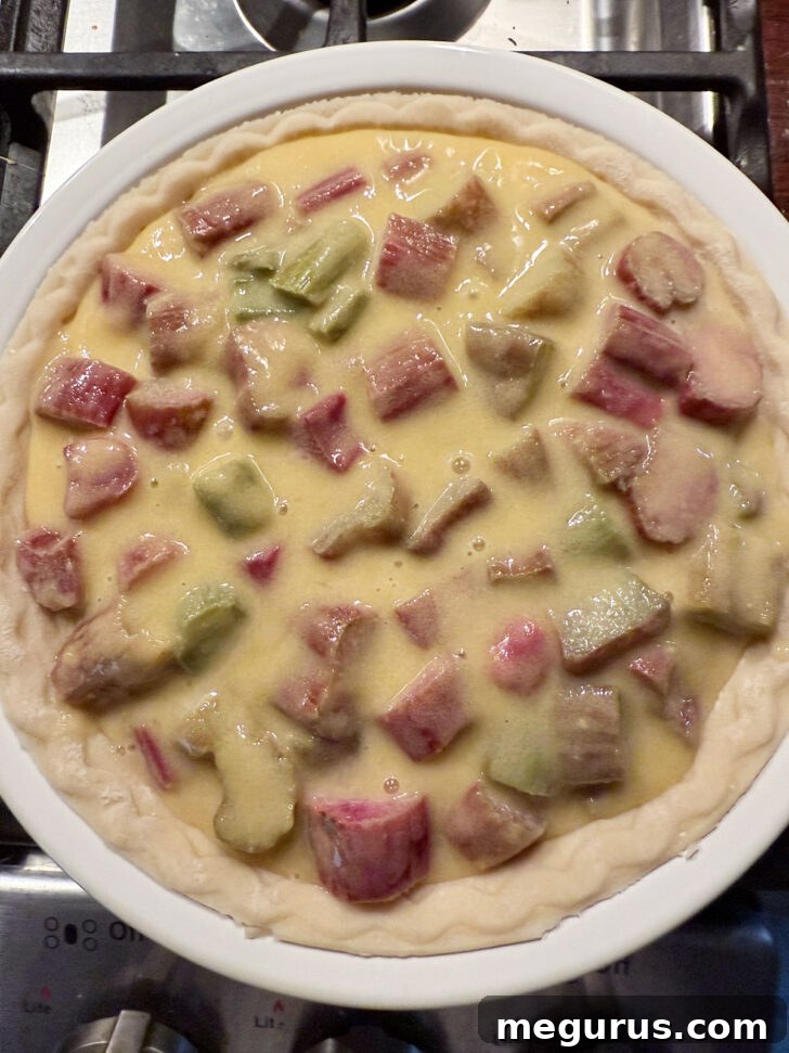 The rhubarb custard filling has been perfectly poured into an unbaked pie shell, ready for the oven.