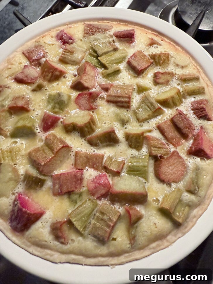 A freshly baked rhubarb pie, golden brown and set, just removed from the oven and ready for its meringue topping.
