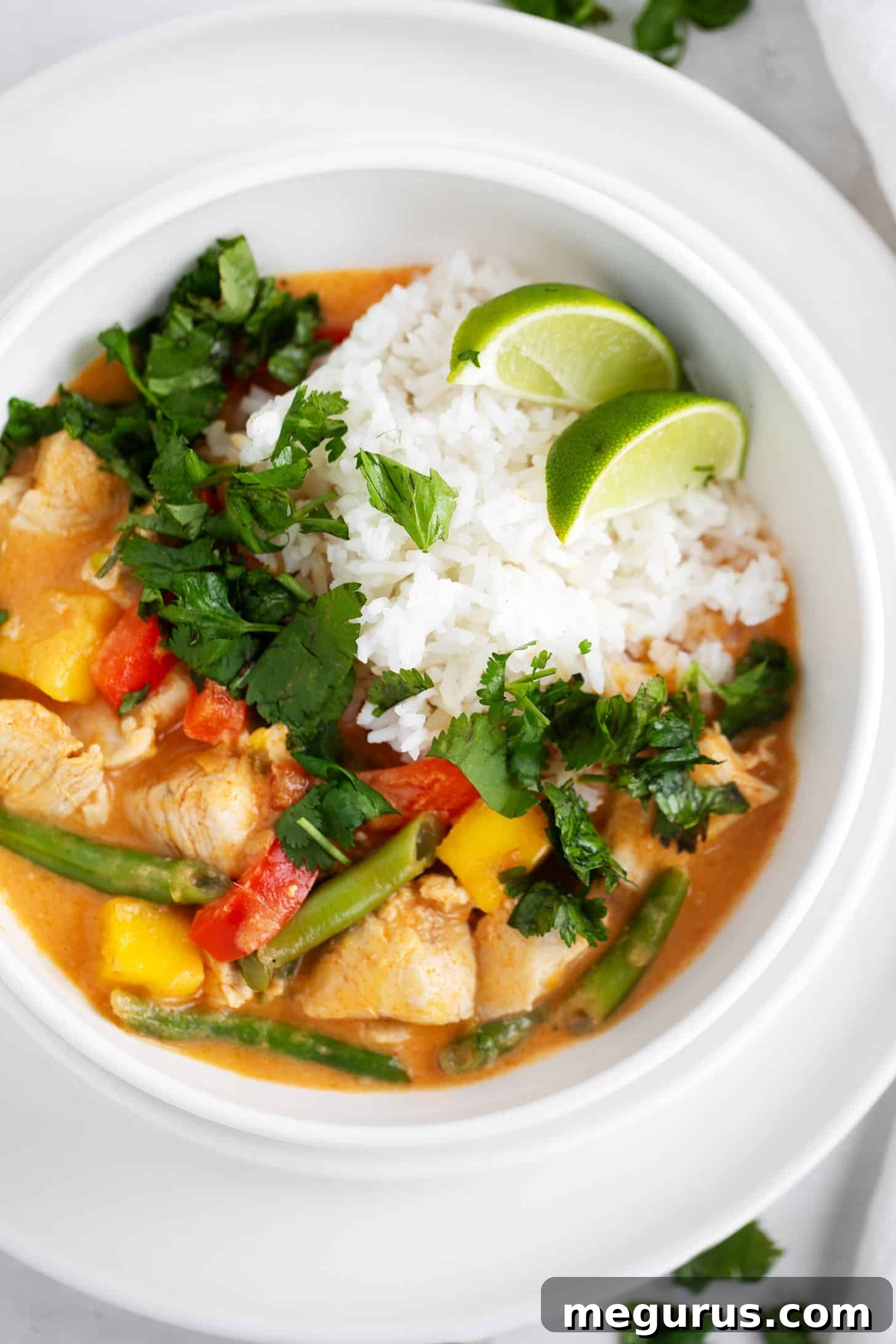 A close-up shot of the exquisite Thai mango chicken curry in a bowl, perfectly paired with rice, garnished with fresh cilantro.