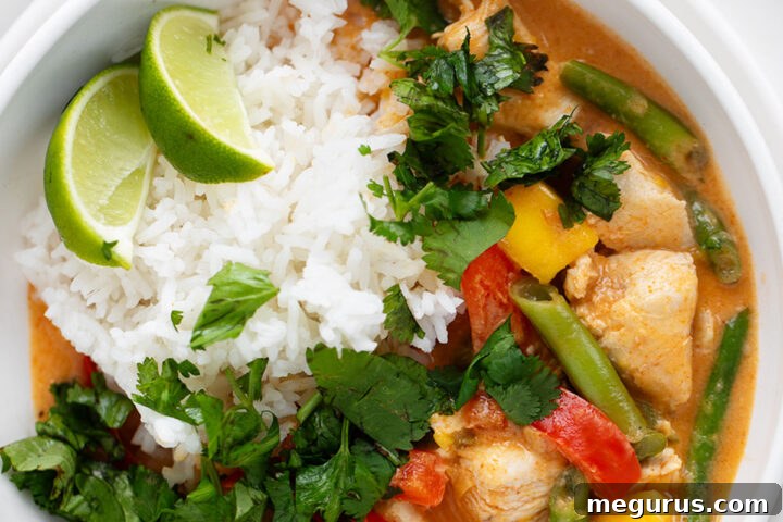 A bowl of flavorful Thai mango chicken curry served with white rice.