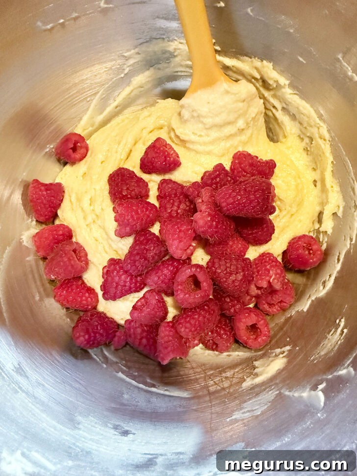 Adding raspberries to the lemon muffin batter in a bowl.