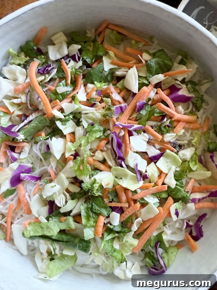 Coleslaw mix evenly distributed over the vermicelli noodles in the salad bowl.