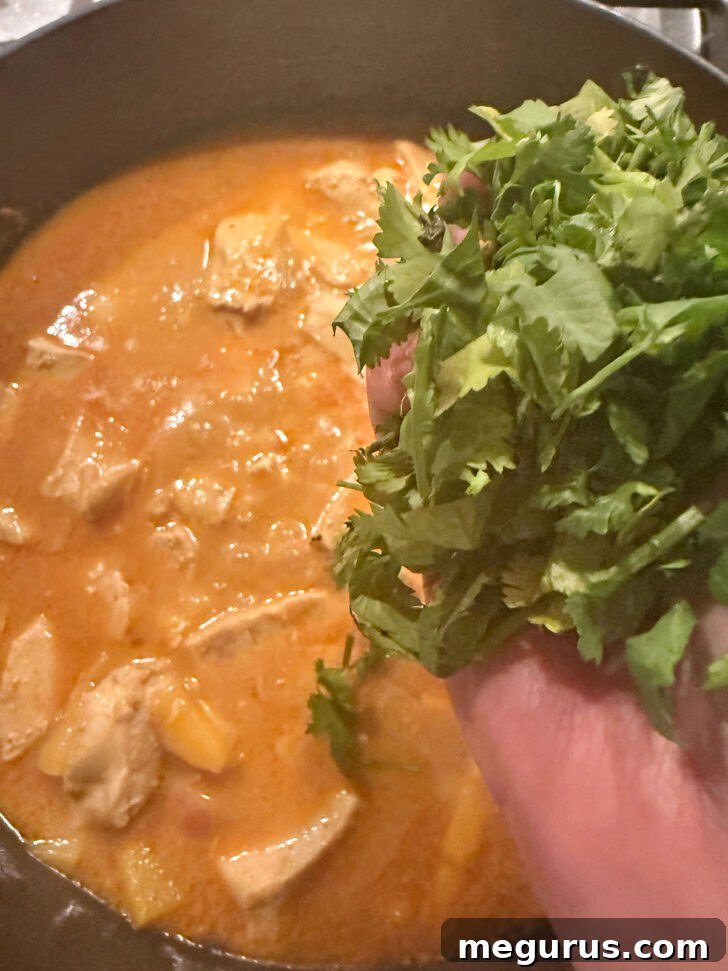 Adding cilantro to the finished mango chicken curry.