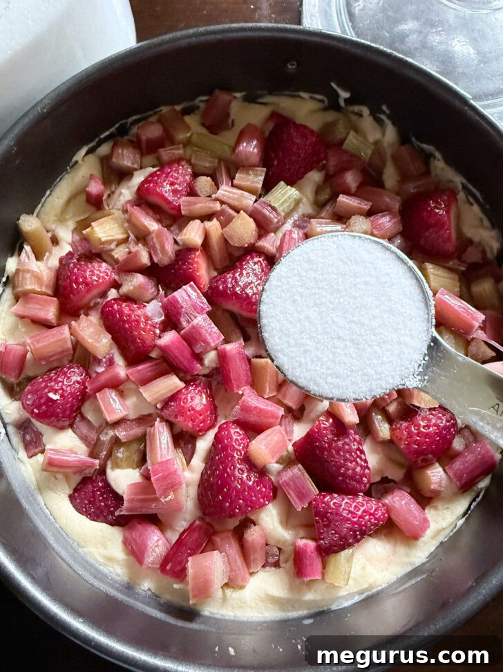 Remaining rhubarb and strawberries added to the cake top, sprinkled with sugar.