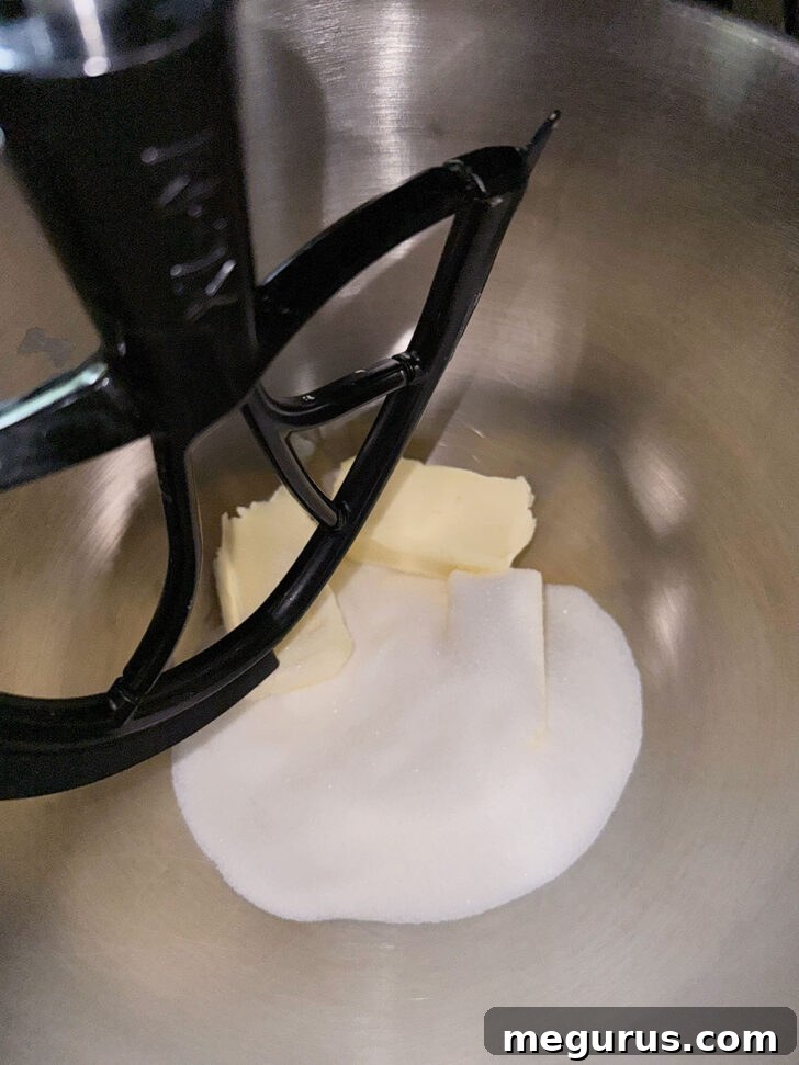 Creamed butter and white sugar in a stand mixer bowl, light and fluffy.