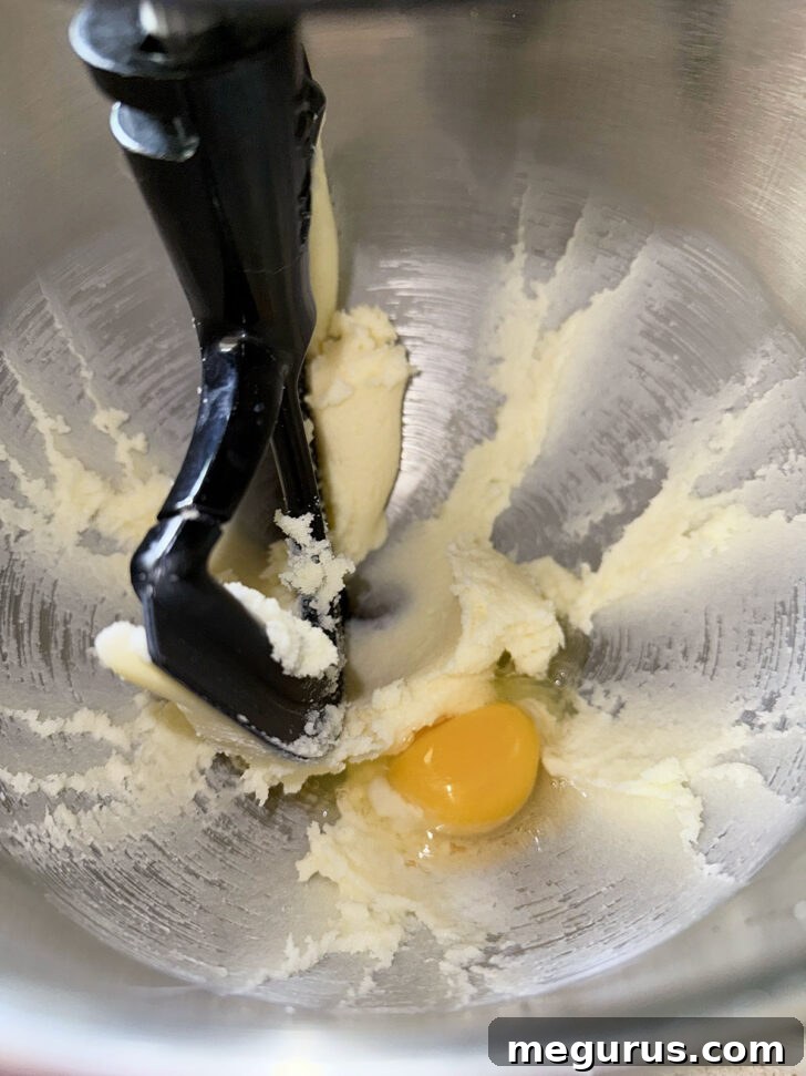 Adding an egg to the creamy butter and sugar mixture in a mixing bowl.