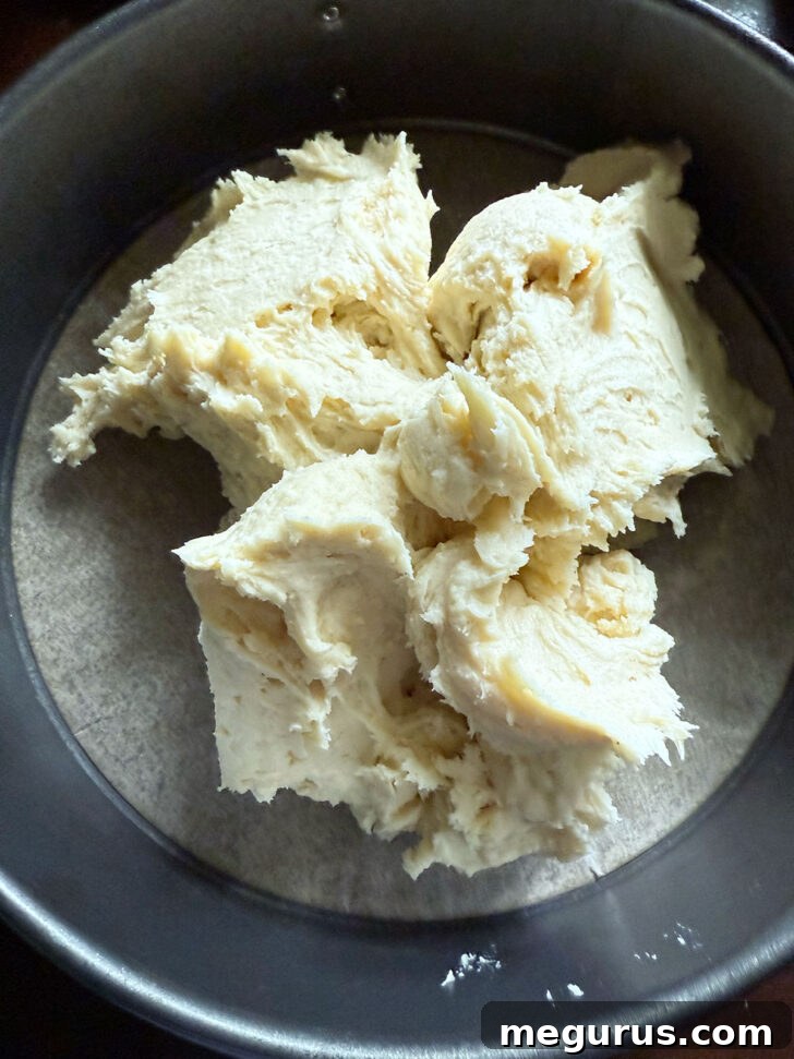 Cake batter spooned into a prepared springform pan.