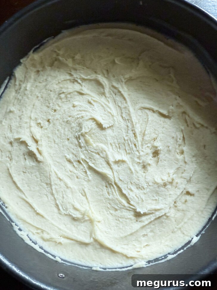 Cake batter evenly spread and leveled in the springform pan.