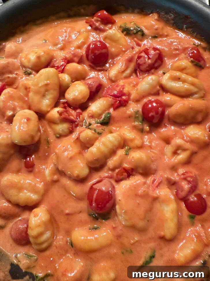 Finished gnocchi in the skillet, ready to be served with burrata.