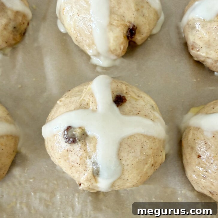 Baked hot cross buns with their distinctive flour crosses piped on top.