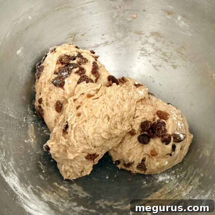 The dough after the infused raisins, cinnamon, and orange zest have been kneaded in.