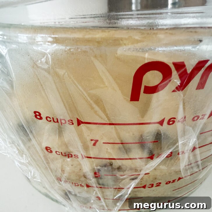 The dough has risen significantly, nearly doubled in size, inside a greased mixing bowl.