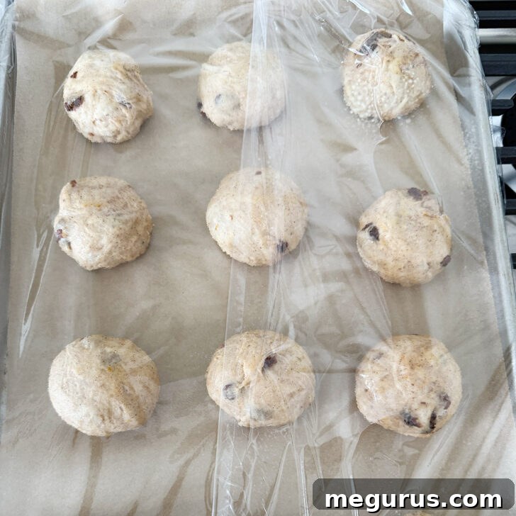 The buns are covered with greased plastic wrap, ready for their second rise.