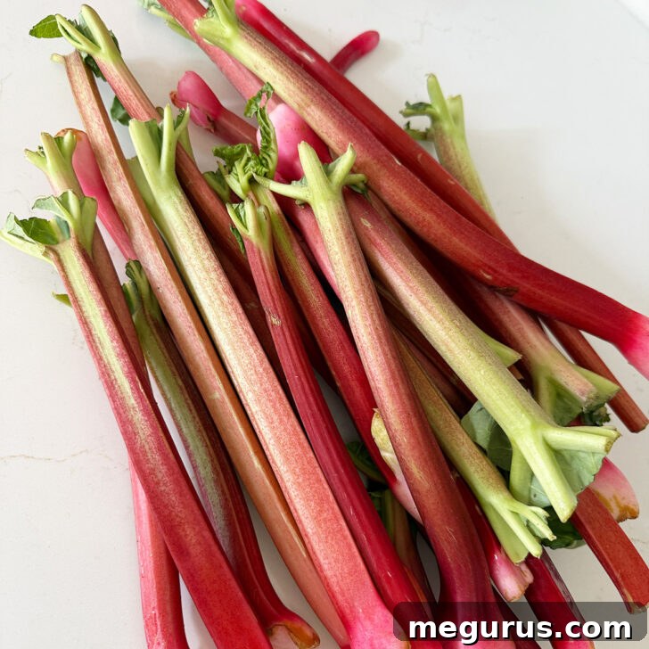 Rhubarb stalks on the counter.