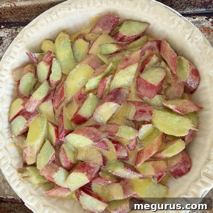 Rhubarb filling added to an unbaked pie shell.