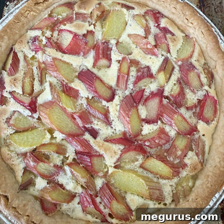 Rhubarb custard pie after baking.