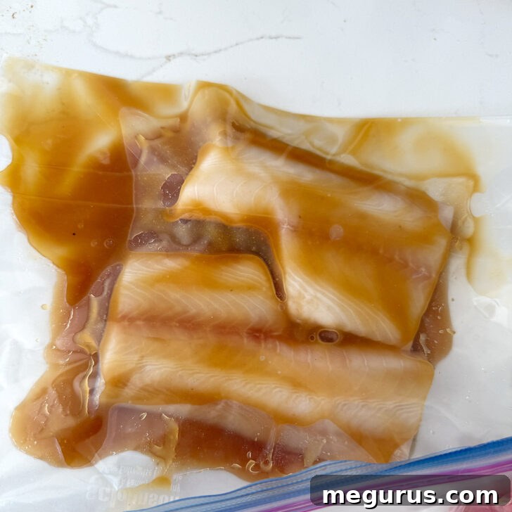 Black cod in a plastic bag with the miso marinade.