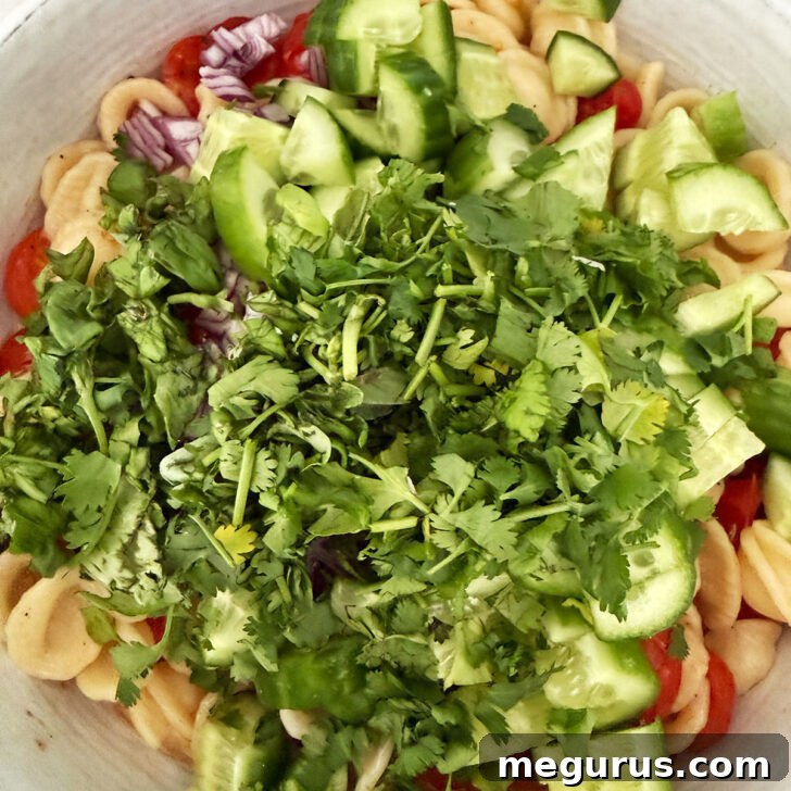 Orecchiette Pasta Salad with Crispy Halloumi and Lemon Dressing 9 Vegetables and herbs added to the pasta and roasted tomatoes.