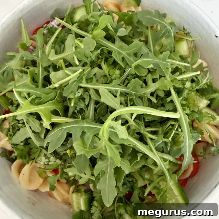 Orecchiette Pasta Salad with Crispy Halloumi and Lemon Dressing 10 Arugula added to the salad bowl.