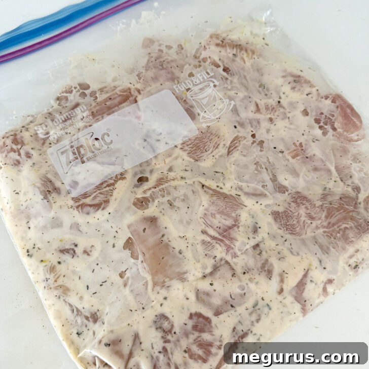 Grilled Chicken Souvlaki Salad with Tzatziki and Lemon Dressing 4 Chicken breast pieces added to the souvlaki marinade in a plastic zipper bag.